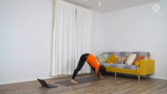 Хатха-йога. Комплекс на освоение Упавишта Конасаны. Алла Долгова смотреть онлайн