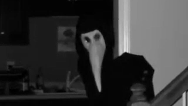 Randomness Productions: The Raven Project смотреть онлайн