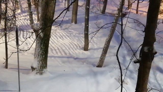 Ночные саструги(снежные волны) #москва#пейзажи#дворыгорода #погода#снегопад#саструги#город#зима2024