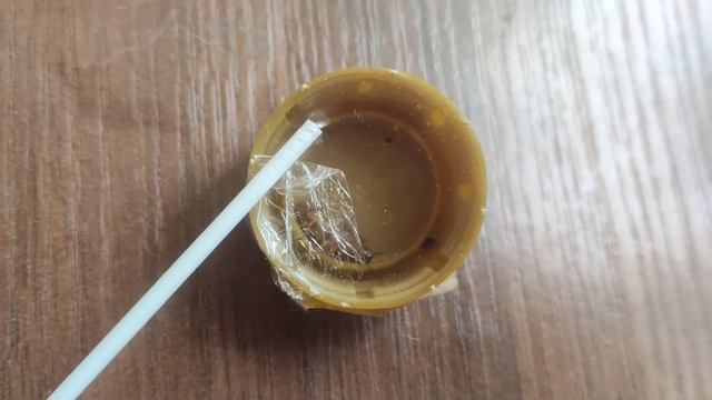 ТАРАКАН РАСПЛОДИЛСЯ ПОСЛЕ ГАЗОВОЙ АТАКИ. Жизнь в общаге #2