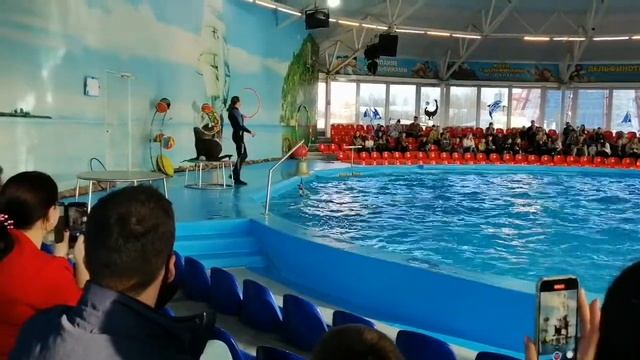 Минский дельфинарий 2021. Часть 1. смотреть онлайн