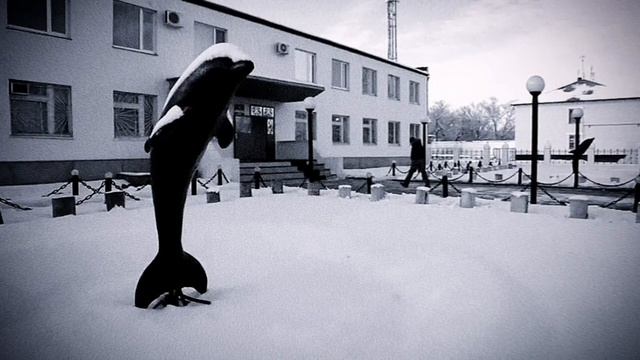 Гио Пика - чёрный дельфин #гиопика смотреть онлайн