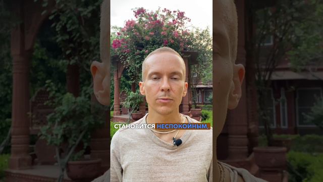 Веды. Счастье уровень 4.