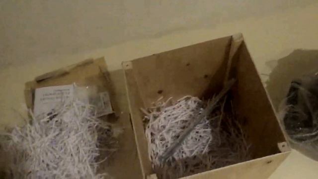 Сыроварня Тремасова обзор от психолога из Санкт Петербурга, который занимается виндсерфингом смотреть онлайн