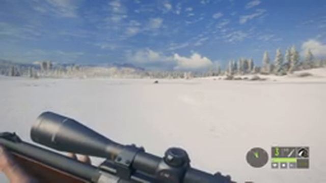 Мир Охоты theHunter Call of the Wild ОХОТА В ТАЙГЕ РУЧНАЯ КАБАРГА # 204 смотреть онлайн