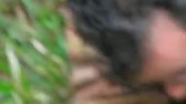 Clathrus ruber смотреть онлайн