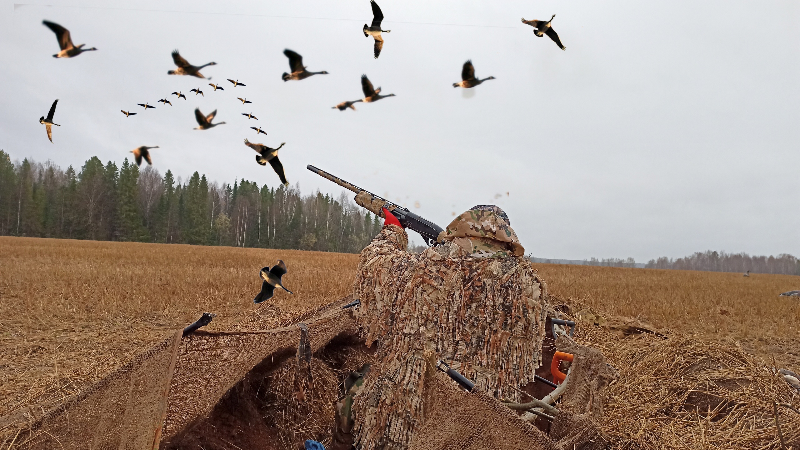 От этих звуков все гуси слетаются к нам! Охота на гуся 2024. смотреть онлайн