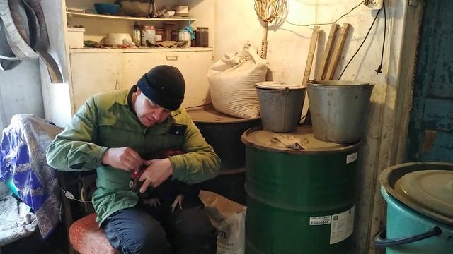 Лечим гребень петуха смотреть онлайн