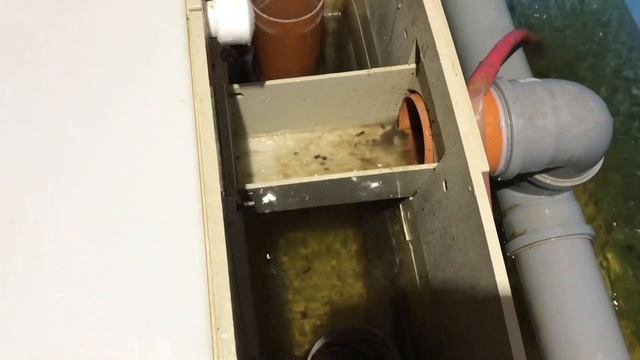 Pro механическую очистку в УЗВ. Лайфхак в конце. смотреть онлайн