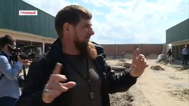 Кадыров подарил вторую жизнь бездомным кошкам и собакам. смотреть онлайн