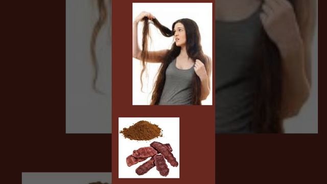 बालों के लिए शिकाकाई पाउडर के फायदे। Shikakai Powder Benefits। बालों के लिए शिकाकाई पाउडर के फायदे। смотреть онлайн