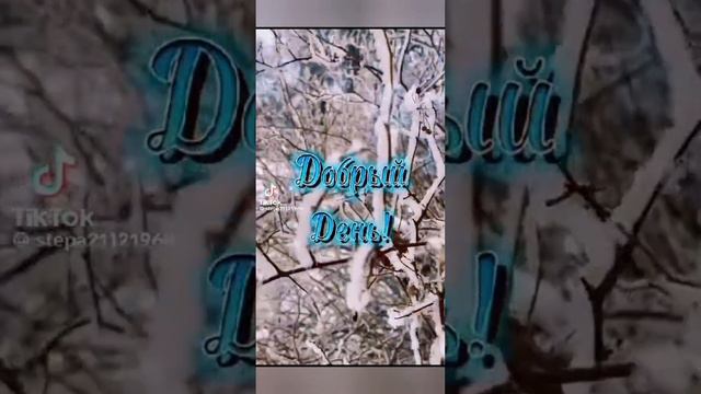Как жаль, что пока ещё нет снега этой зимой... 9 января 2024, СКФО смотреть онлайн