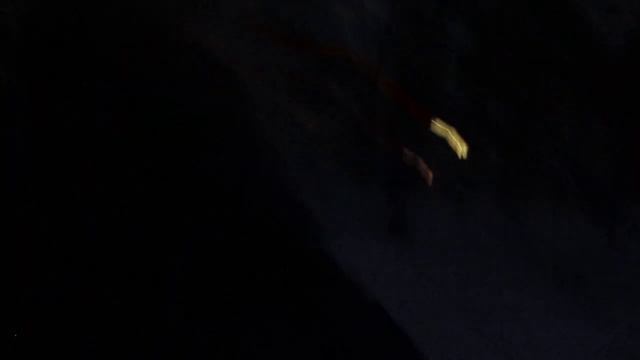 8,11,2023 Выгул собаки без поводка и намордника смотреть онлайн