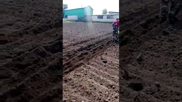 зять купил мотоблок часть1 смотреть онлайн