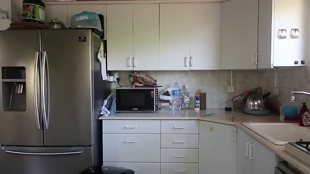 what i eat vegan, a walk with mom & a radio interview! смотреть онлайн