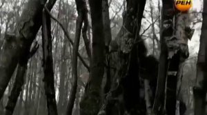 ШОК!! НАЙДЕН СНЕЖНЫЙ ЧЕЛОВЕК В ГОРАХ АЛТАЯ! ВИДЕО, ФАКТЫ И МНОГОЕ ДРУГОЕ!! 22 06 2017