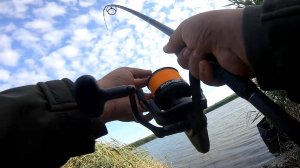 Ночная РЫБАЛКА на КАРПА