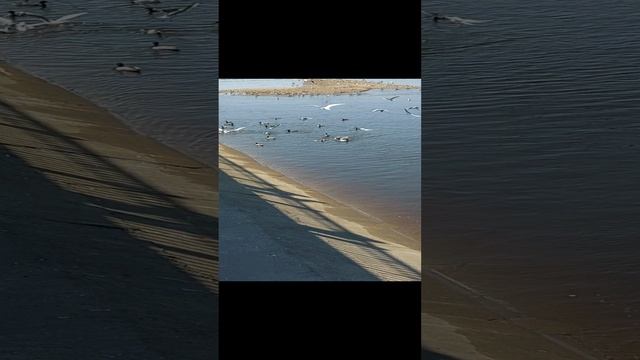 Набережная Камы