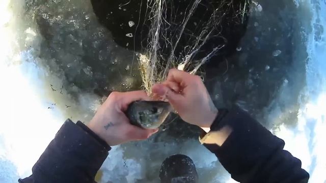 Зимняя Рыбалка на сети! Рыбалка на зоморном водоёме. щука окунь жёлтый карась. промысловая рыбалка. смотреть онлайн
