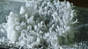 Алюминий и Ртуть. Удивительное взаимодействие.