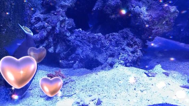 Привітання для Людмили. З Днем ангела, Людмила! смотреть онлайн