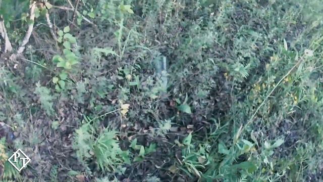 #Записки натуралиста. Выпуск 1. Петропавловск. смотреть онлайн