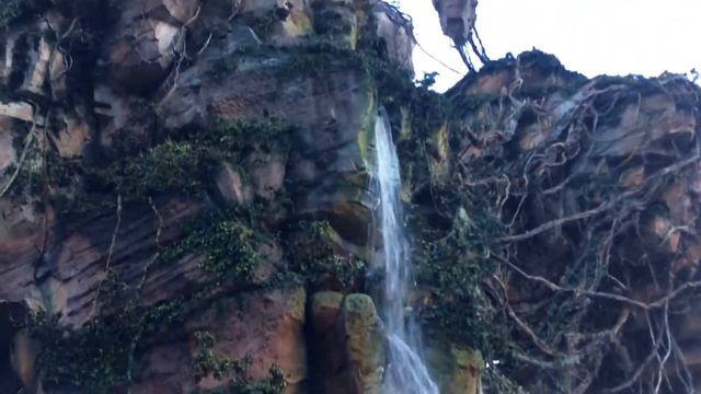 Free Stock Footage 2017 Disney Animal Kingdom Pandora 01 смотреть онлайн