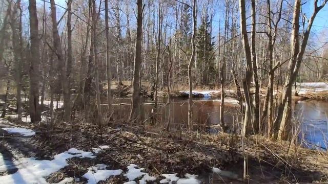 Соезерье.Соезерская пустынь.Архангельская область. смотреть онлайн