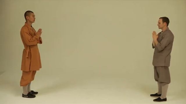 Shaolin Qin Na. Shifu Shi Yan Ti