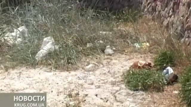 Видимость успехов смотреть онлайн