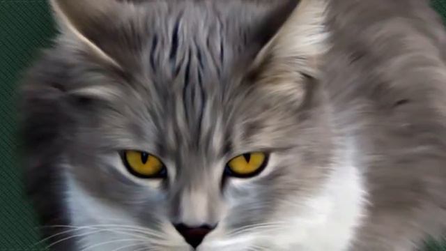 Наши любимые питомцы смотреть онлайн