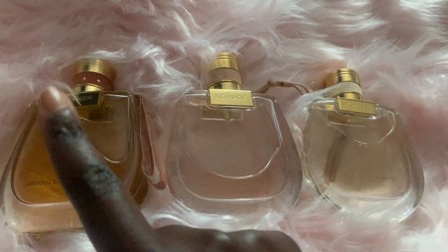Chloe Nomade & the Flankers | Comparison Video | Absolu, Naturelle and Edt! смотреть онлайн