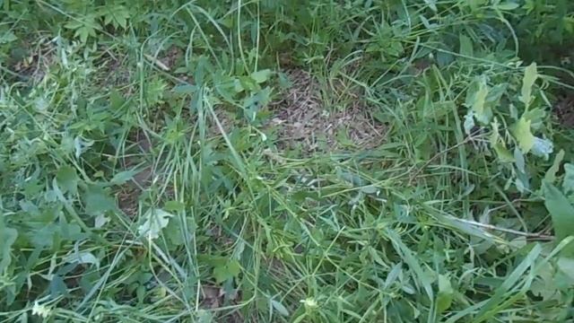 Ловим на мерёжки в Круглом озере. смотреть онлайн