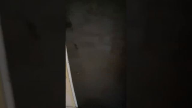 Нанесение и функции минеральной штукатурки с перлитом с-30 артисан