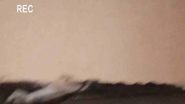 Я СДЕЛАЛ ОБЗОР НА ДОМ НА КРОВАТИ. смотреть онлайн