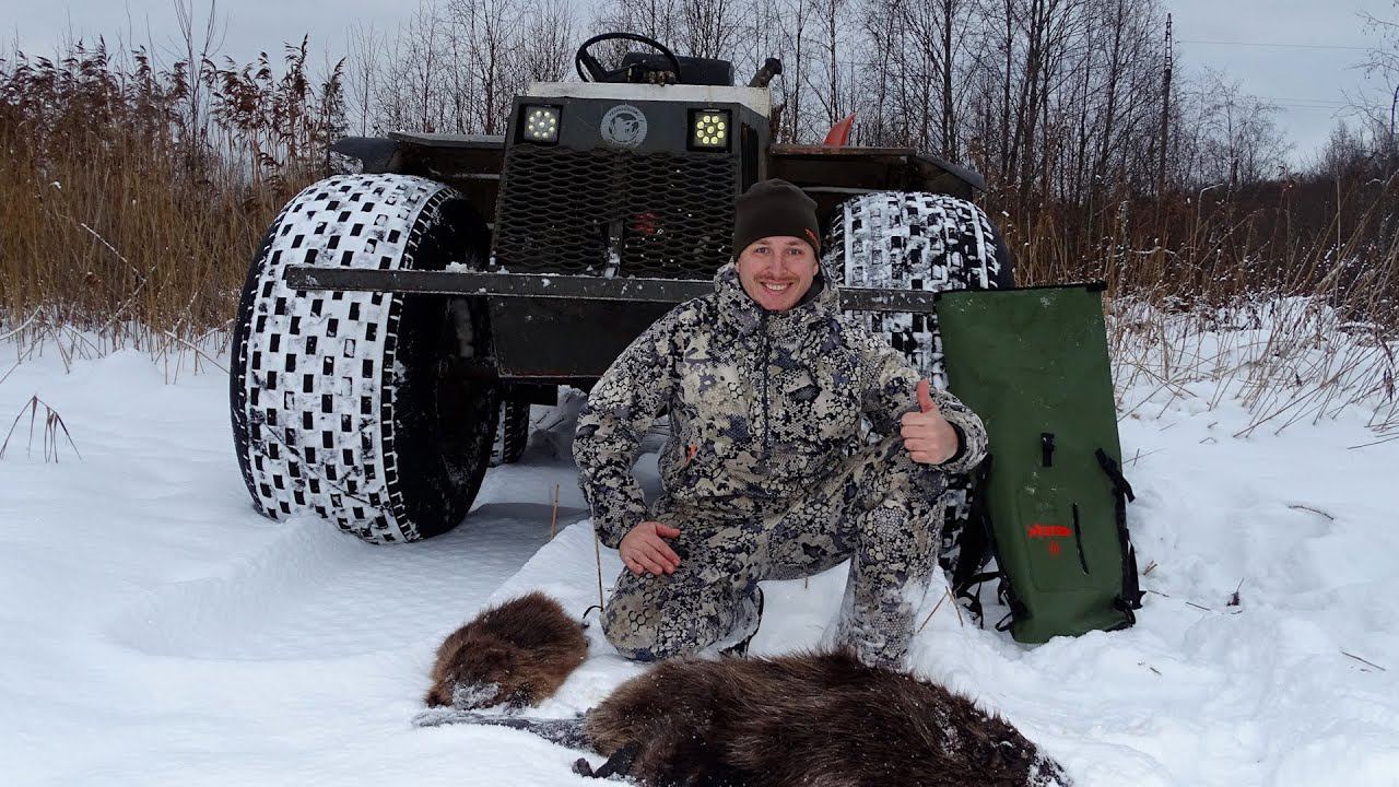 Охота на бобра #25.3 \ castorfiber 33.800 / Проверка капканов смотреть онлайн