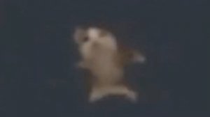 шнип шнап шнапи 10 часов