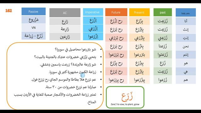 conjugating the verb to plant, grow on all tenses in levantine Arabic | No162 زرع смотреть онлайн