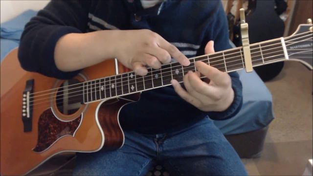 Pachelbel's Canon - Trace Bundy Guitar Cover | Anton Betita смотреть онлайн