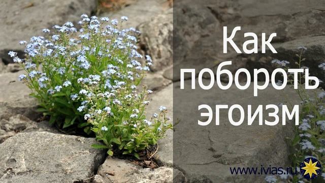 Как побороть эгоизм | Книга жизни смотреть онлайн