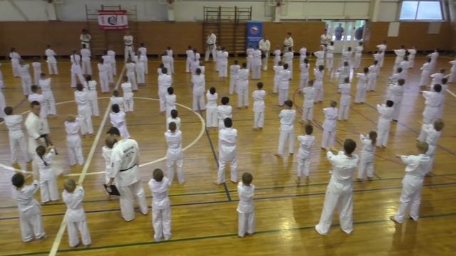 Экзамен на 10кю карате кекусинкай в Пензе смотреть онлайн