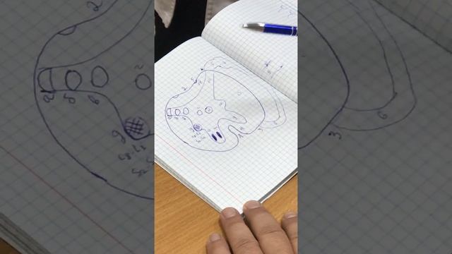 Спинной мозг смотреть онлайн