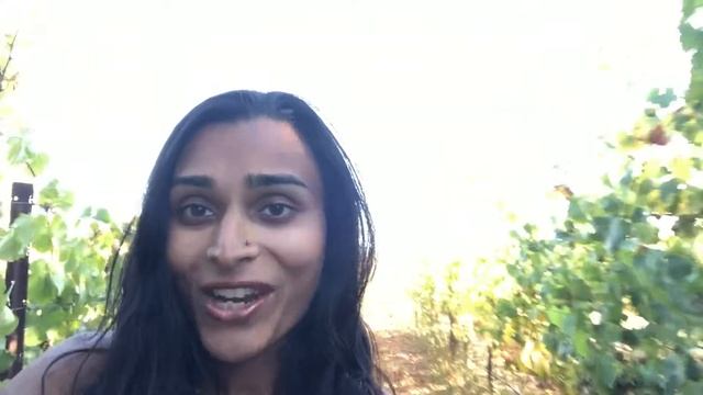 Invitation from Ashi Krishnan to CSS-Minsk-JS Conference 2018 смотреть онлайн