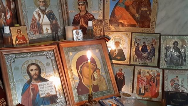 Внутриутробный -  Испуг! И Отчитка - Собачий испуг!