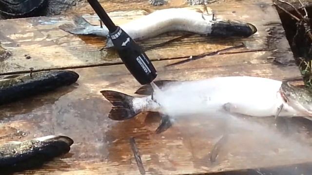 Рыбалка смотреть онлайн