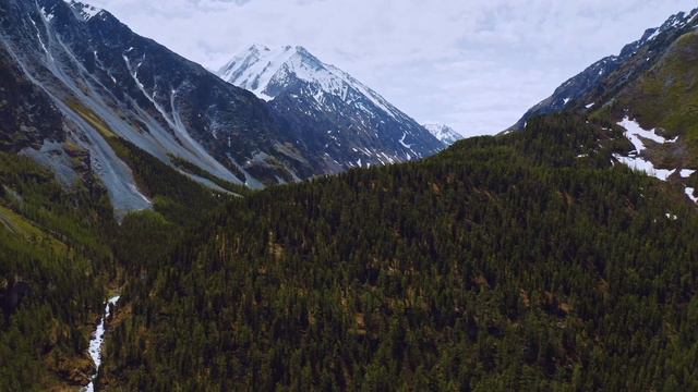Что такое Высшее Я? // ченнелинг By Натали Нью