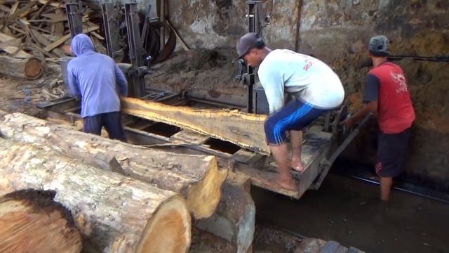 seharga 3,5 juta an inilah jenis kayu jati terlaris untuk bahan furniture terbaik di penggergajian смотреть онлайн