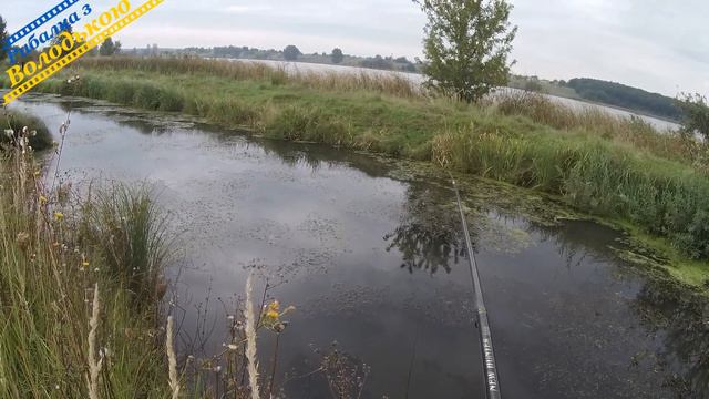Бічний кивок на карася! Ловля карася на мікро річці! Боковий кивок осінню. Літня мормишка у вересні смотреть онлайн