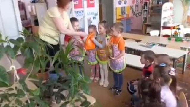 "Дежурство в уголке природы" воспитатель Клима Оксана Юрьевна смотреть онлайн