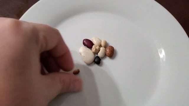 Canning Dry Beans | How Various Types of Dry Beans & Peas React to Pressure Canning | Rebel Canning смотреть онлайн
